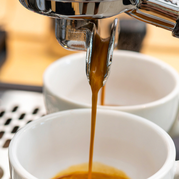 Latte Art Kurs Hamburg, mydays Erlebnisgutschein, als PDF ausdruckbar oder Versand mit Geschenkverpackung