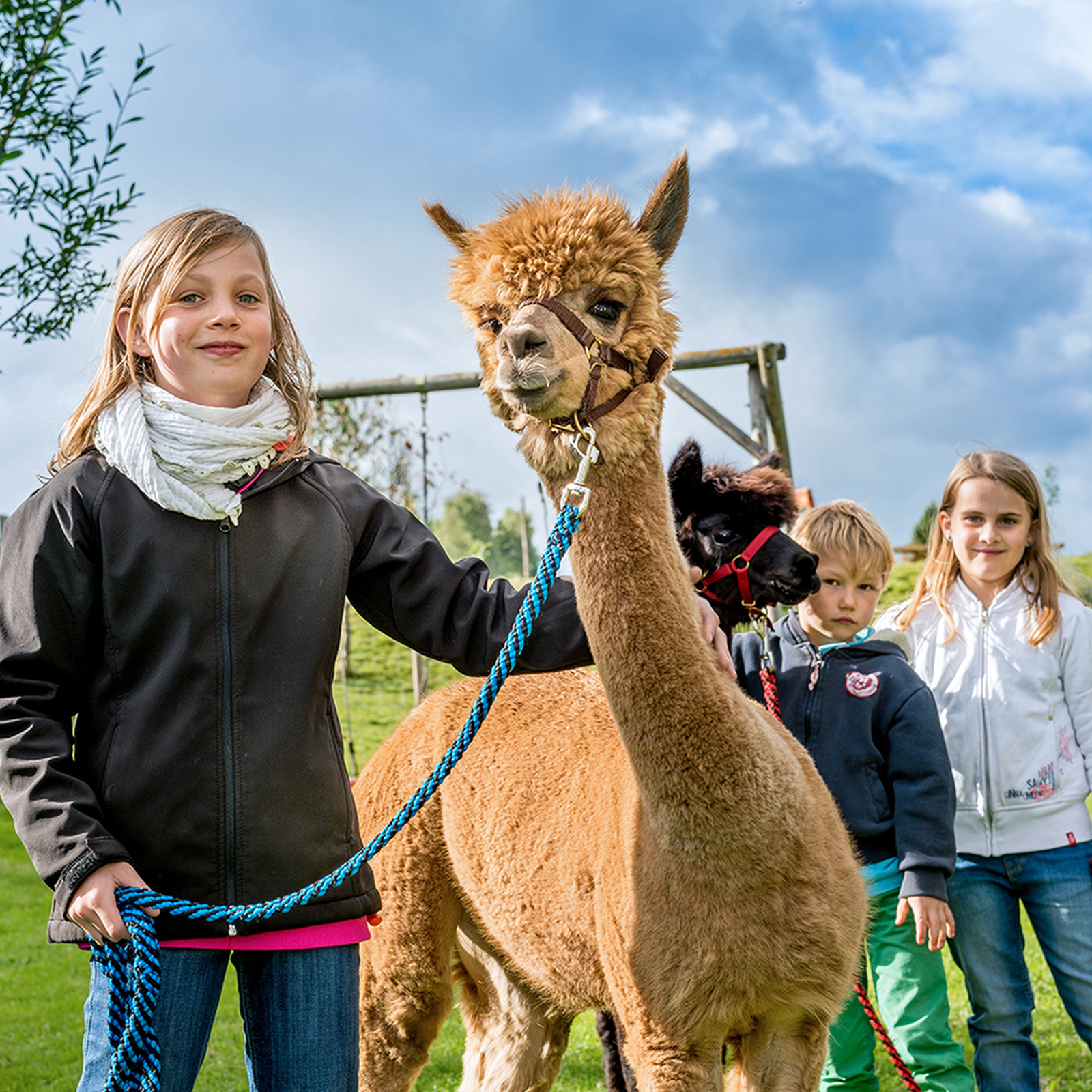Bauernhof Besuch Bad Großpertholz, mydays Erlebnisgutschein, als PDF ausdruckbar oder Versand mit Geschenkverpackung