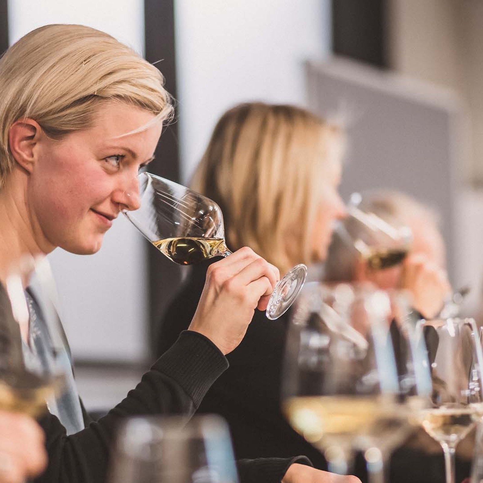 Rebsortenkurs mit Degustation Stuttgart, mydays Erlebnisgutschein, als PDF ausdruckbar oder Versand mit Geschenkverpackung