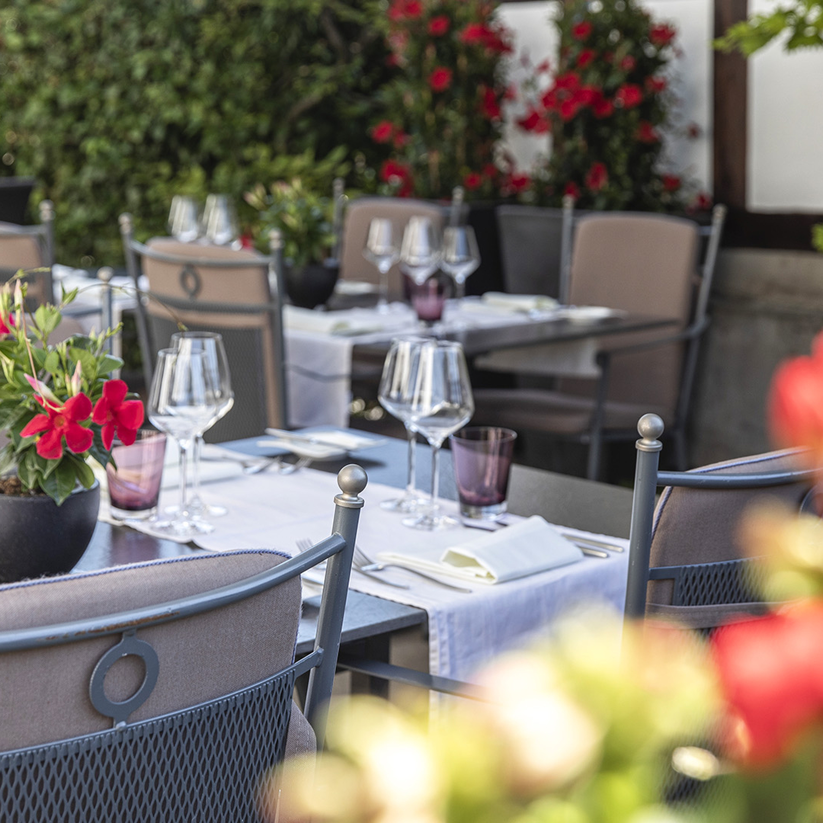 Gourmet Dinner für 2 Arbon, mydays Erlebnisgutschein, als PDF ausdruckbar oder Versand mit Geschenkverpackung