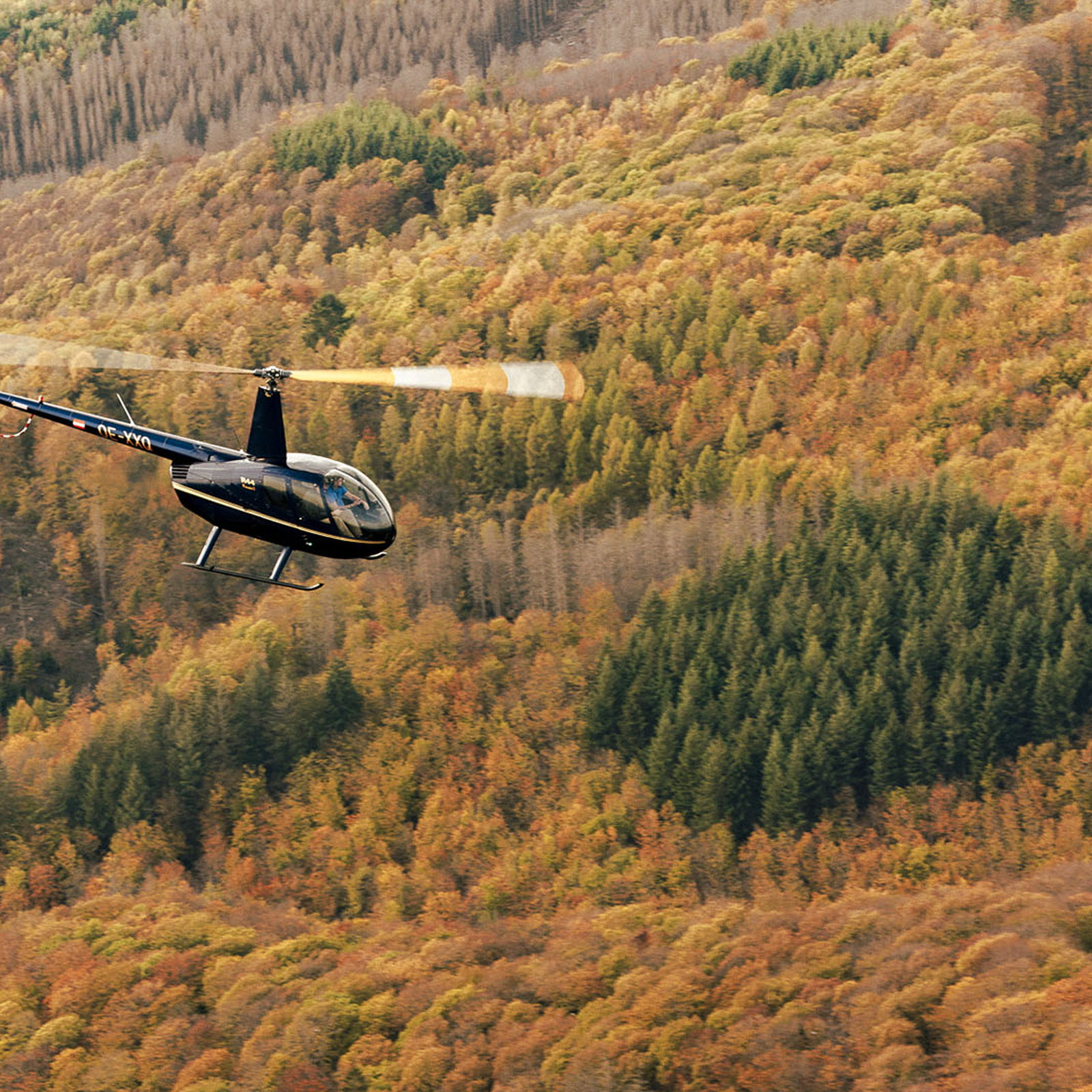 Hubschrauber Rundflug Freiburg im Breisgau (10 Min.), mydays Erlebnisgutschein, als PDF ausdruckbar oder Versand mit Geschenkverpackung
