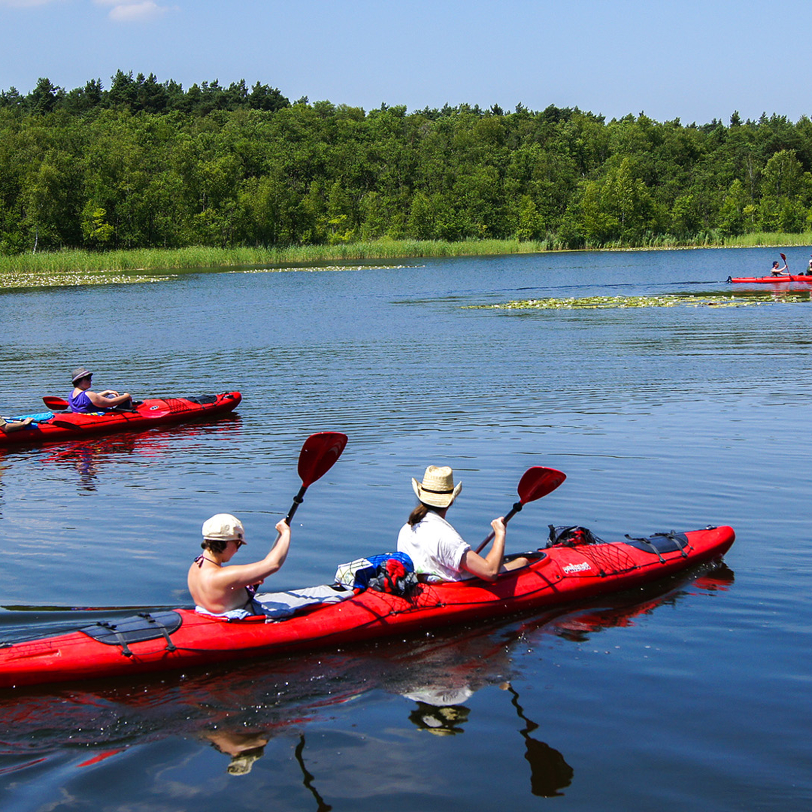 Aktiv-Urlaub Roggentin (2 Nächte), mydays Erlebnisgutschein, als PDF ausdruckbar oder Versand mit Geschenkverpackung