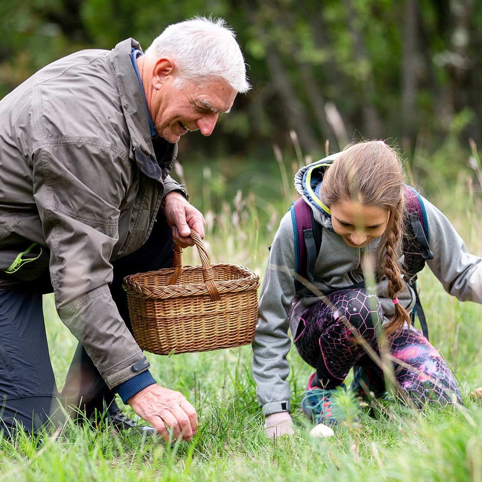 Kräuterwanderung Augsburg, mydays Erlebnisgutschein, als PDF ausdruckbar oder Versand mit Geschenkverpackung