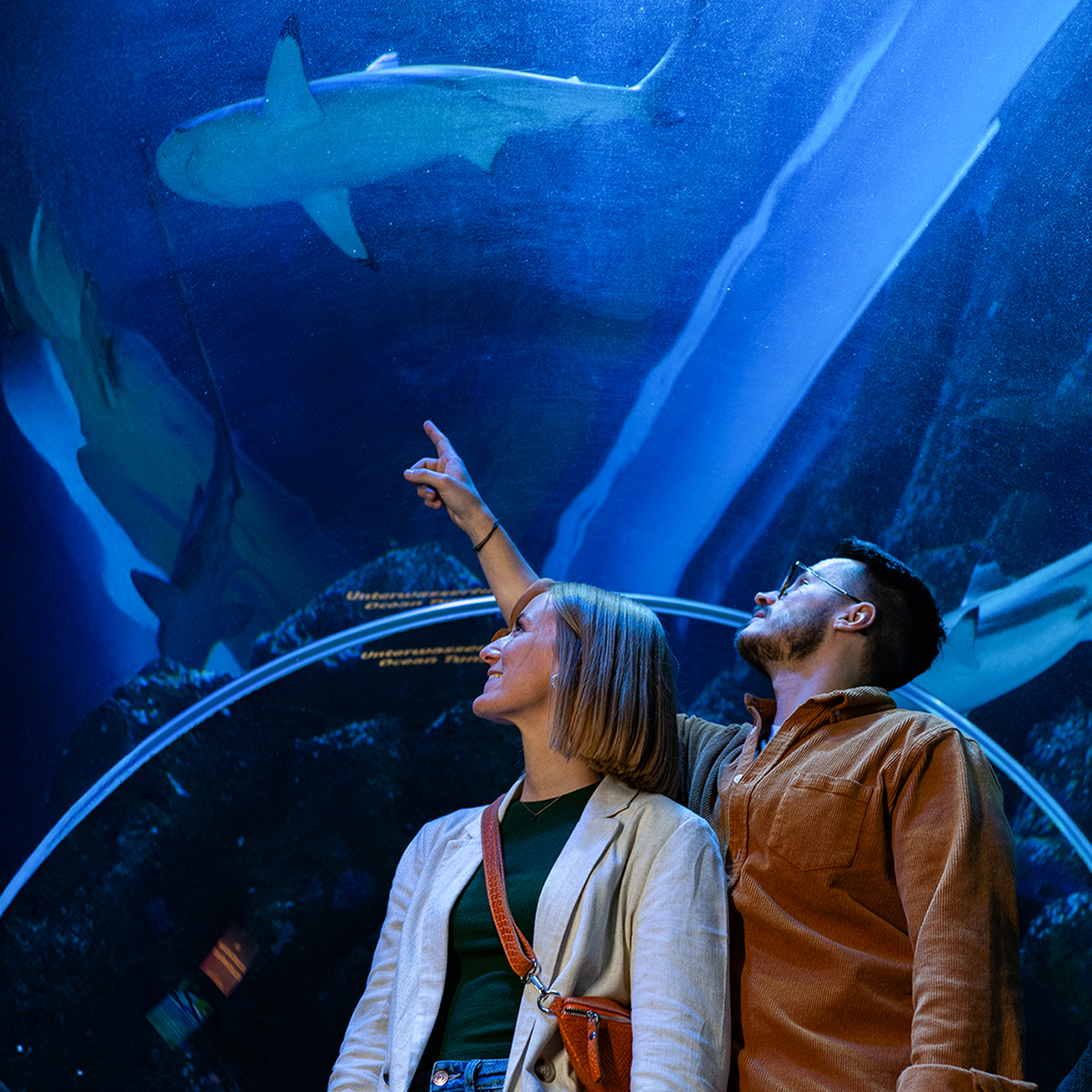 Sea Life Oberhausen, mydays Erlebnisgutschein, als PDF ausdruckbar oder Versand mit Geschenkverpackung
