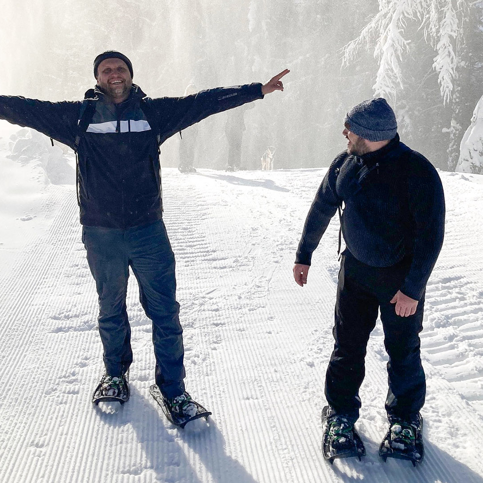 Schneeschuhwanderung Ehrwald, mydays Erlebnisgutschein, als PDF ausdruckbar oder Versand mit Geschenkverpackung