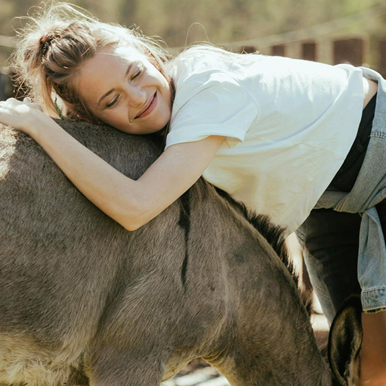 Eselwanderung Hirschburg, mydays Erlebnisgutschein, als PDF ausdruckbar oder Versand mit Geschenkverpackung
