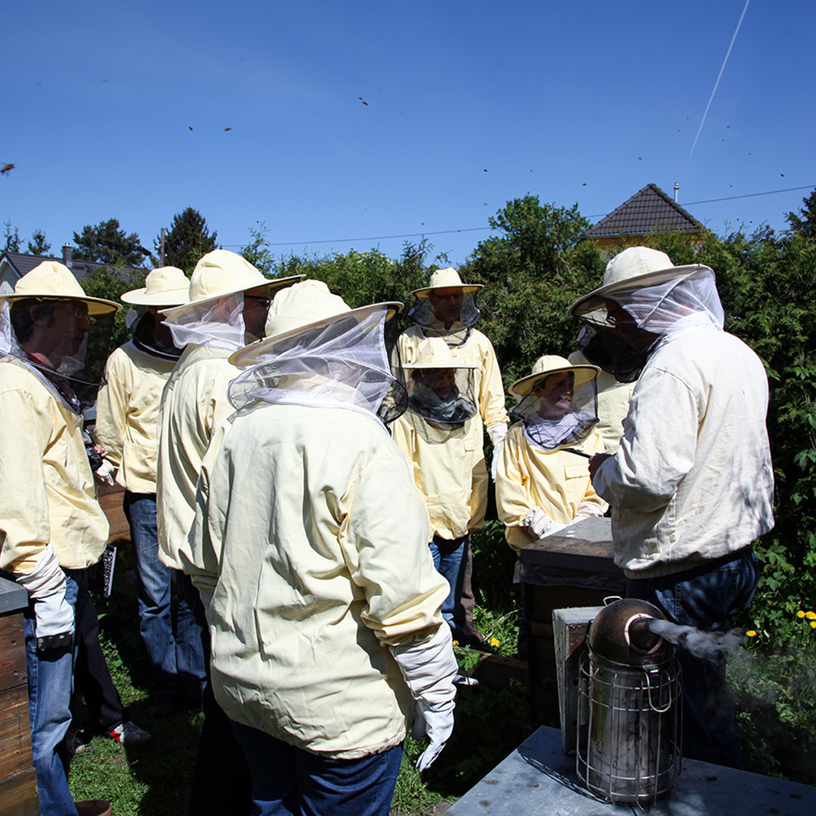 Imkerkurs Berlin, mydays Erlebnisgutschein, als PDF ausdruckbar oder Versand mit Geschenkverpackung