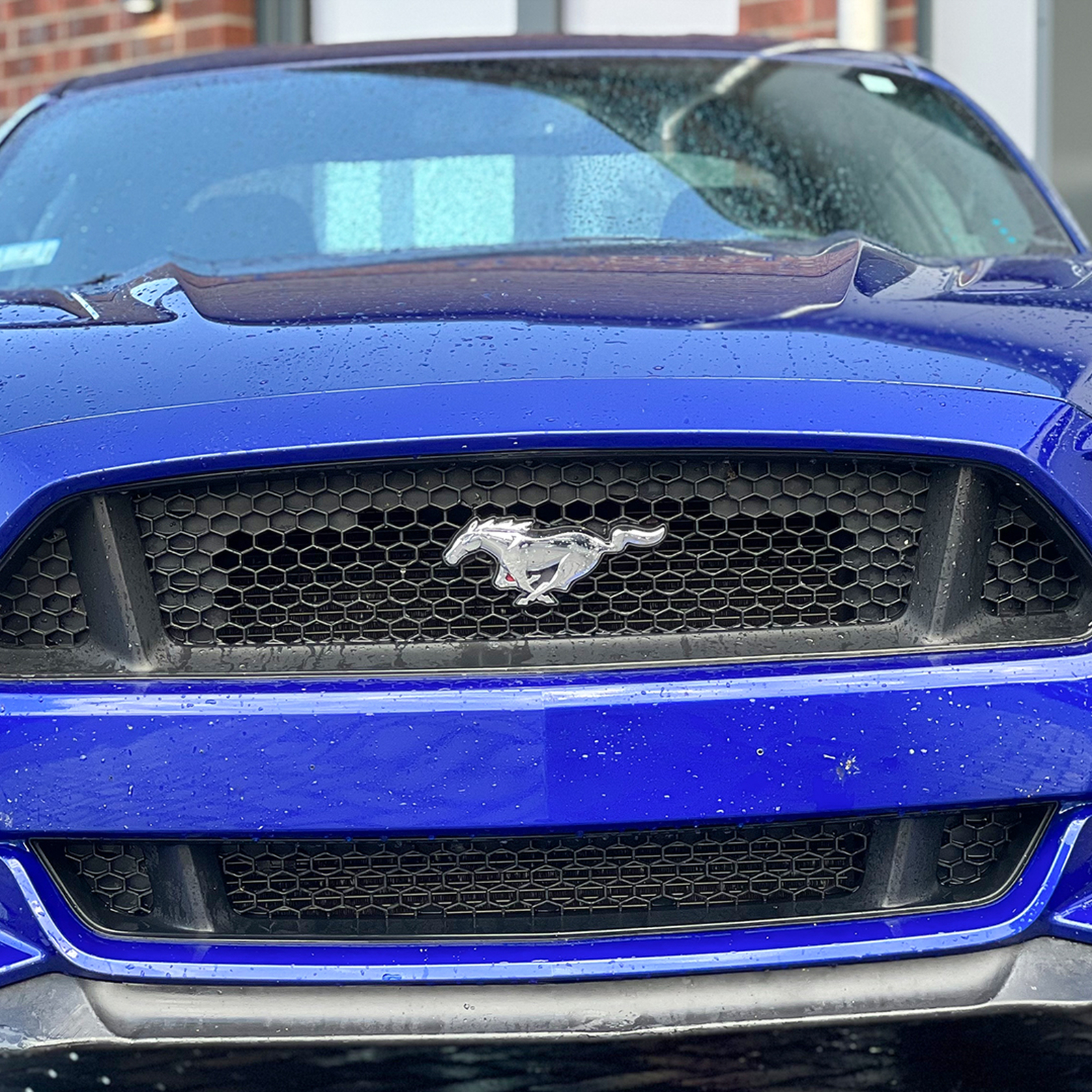 Ford Mustang fahren Wismar (7 Std.), mydays Erlebnisgutschein, als PDF ausdruckbar oder Versand mit Geschenkverpackung