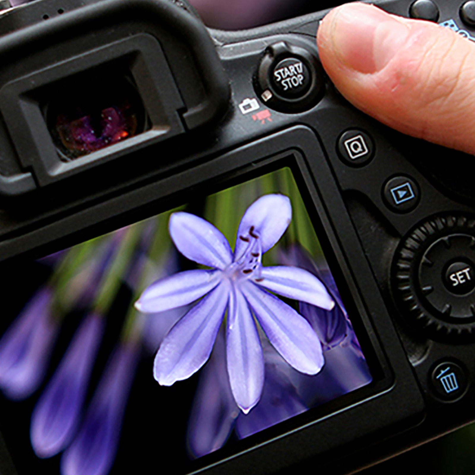 Fotokurs Köln (Einzelcoaching), mydays Erlebnisgutschein, als PDF ausdruckbar oder Versand mit Geschenkverpackung