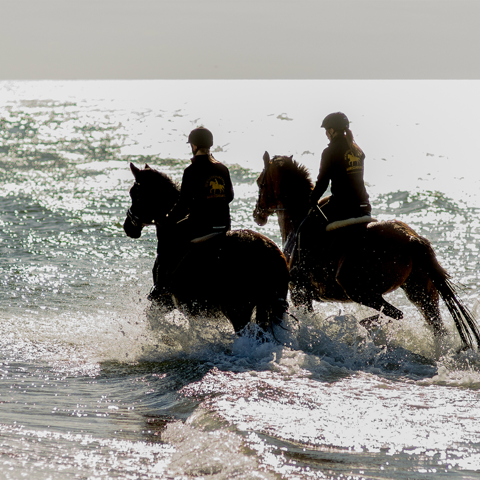 Strandritt Ostsee mit Probestunde Hirschburg (Okt. - Apr.), mydays Erlebnisgutschein, als PDF ausdruckbar oder Versand mit Geschenkverpackung