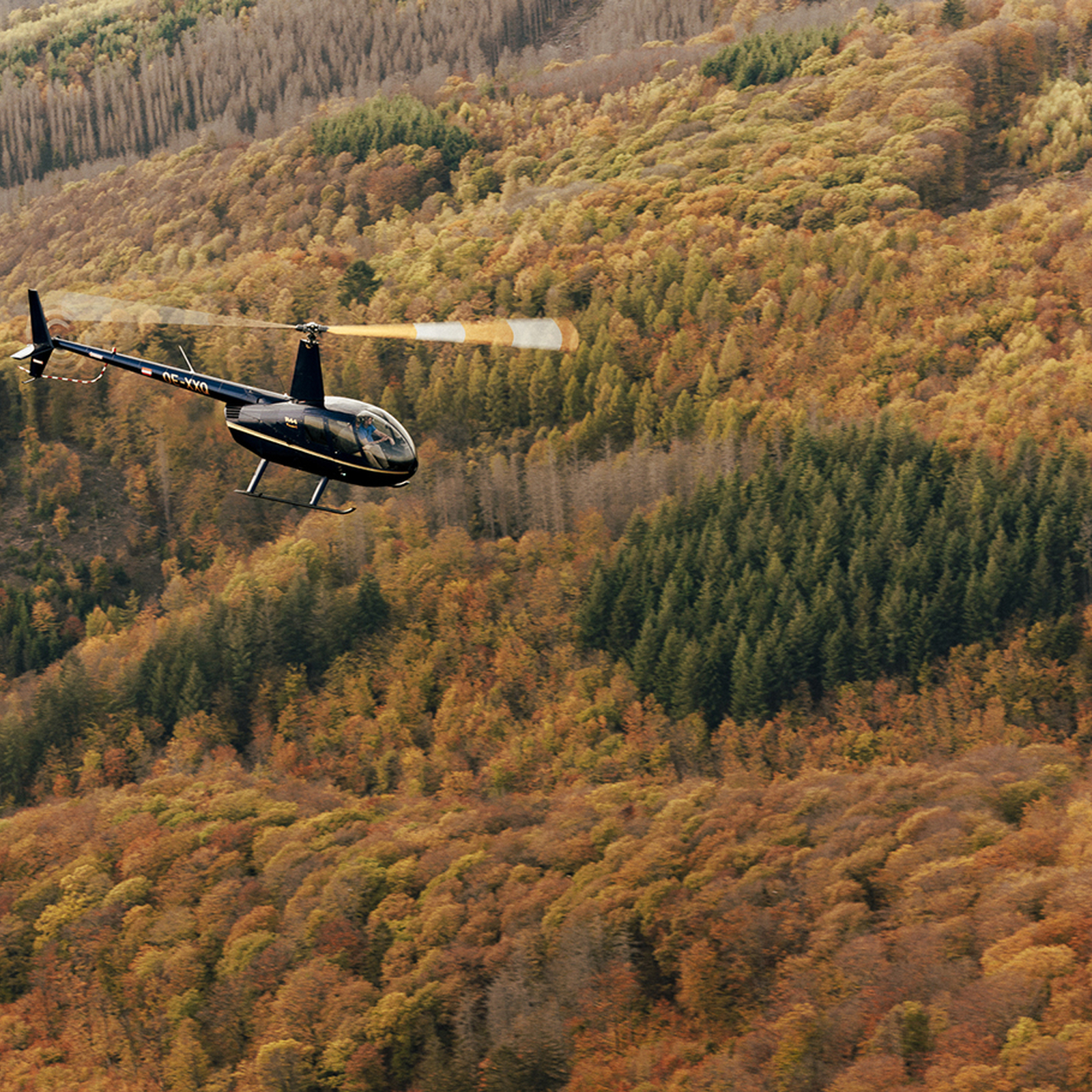 Hubschrauber Rundflug (30 Min.) Hannover, mydays Erlebnisgutschein, als PDF ausdruckbar oder Versand mit Geschenkverpackung