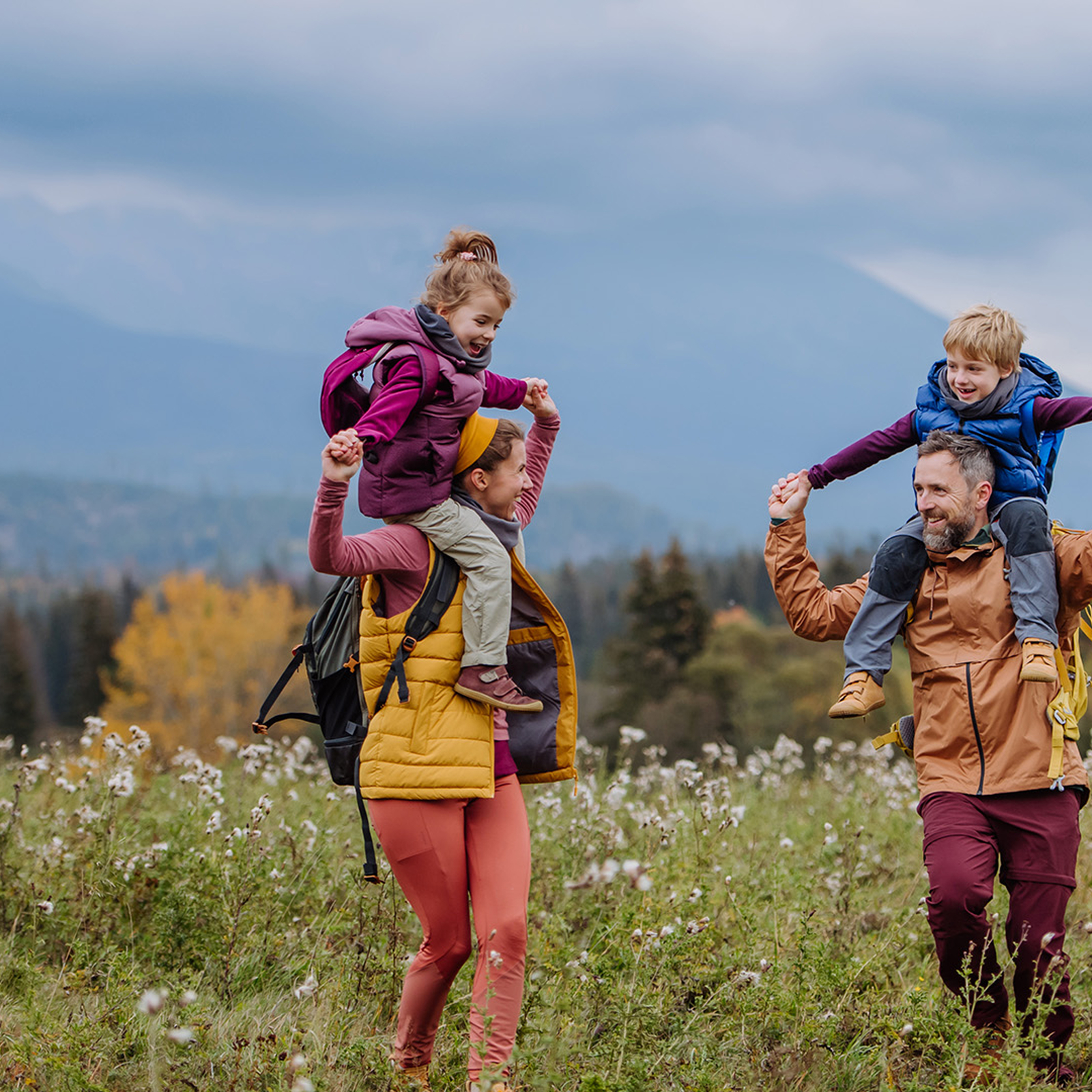 Murnauer Moos Rundweg - Führung für 2, mydays Erlebnisgutschein, als PDF ausdruckbar oder Versand mit Geschenkverpackung