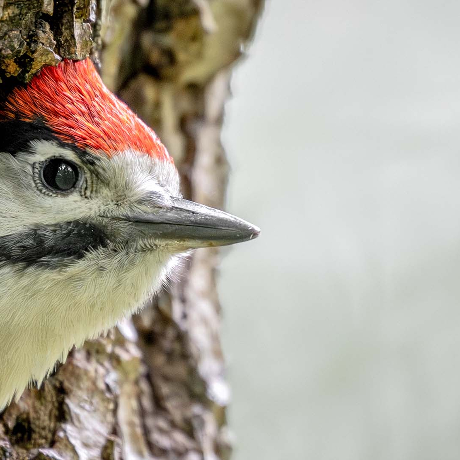 Fotografie Kurs Landsberg am Lech, mydays Erlebnisgutschein, als PDF ausdruckbar oder Versand mit Geschenkverpackung