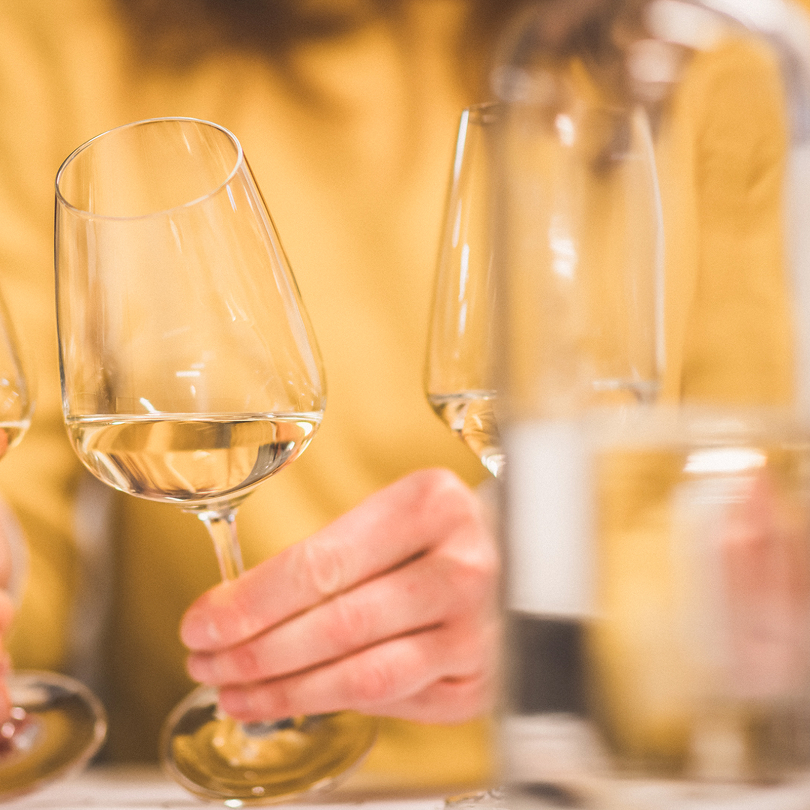 Weinseminar für Einsteiger Münchenstein, mydays Erlebnisgutschein, als PDF ausdruckbar oder Versand mit Geschenkverpackung