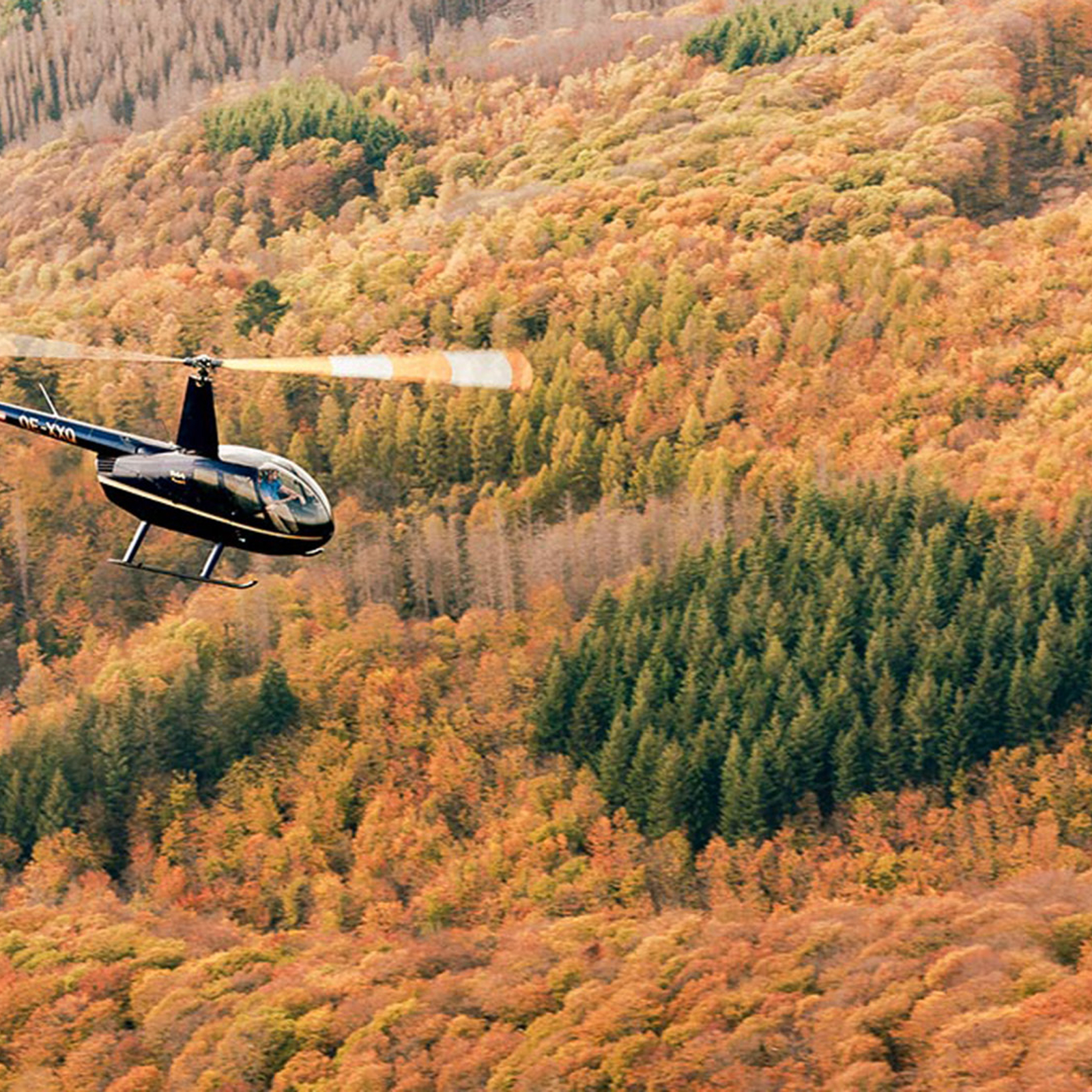 Hubschrauber Rundflug Stockerau (20 Min.), mydays Erlebnisgutschein, als PDF ausdruckbar oder Versand mit Geschenkverpackung