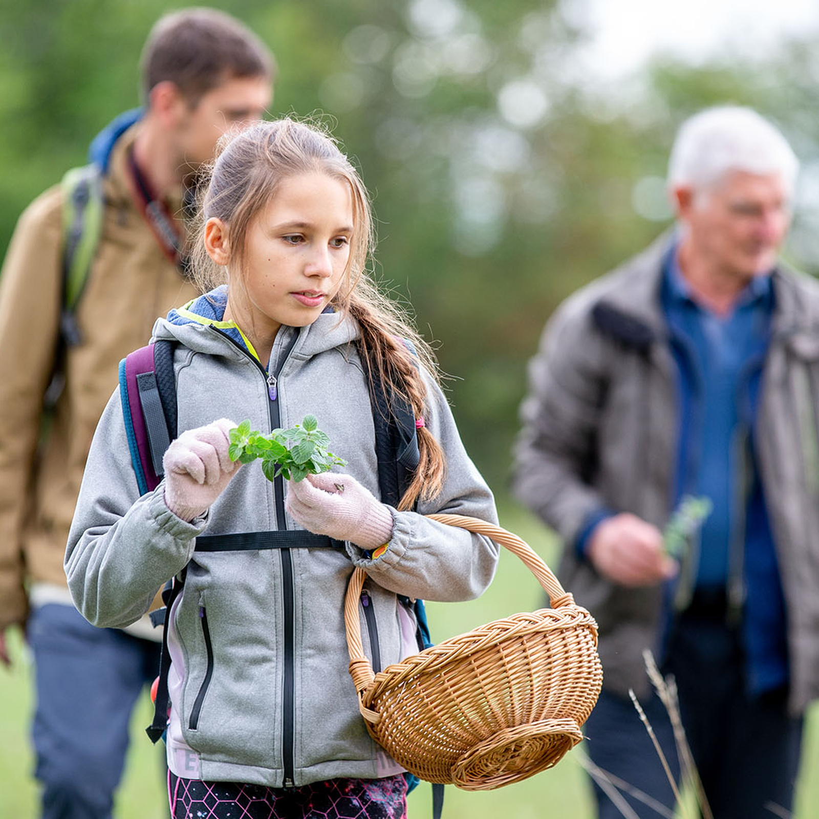 Kräuterwanderung Berlin Mühlenbecker Land, mydays Erlebnisgutschein, als PDF ausdruckbar oder Versand mit Geschenkverpackung