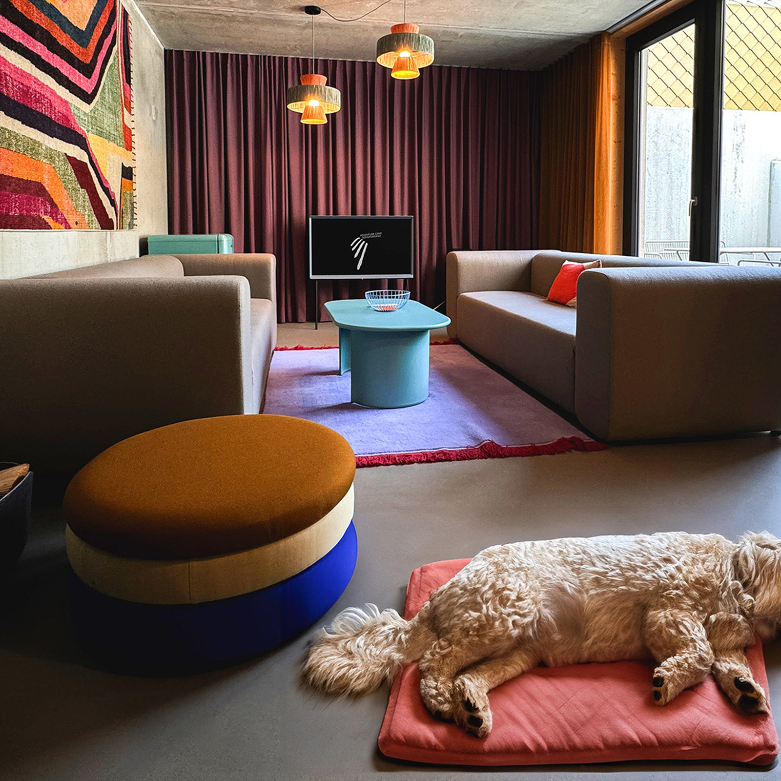 Kurzurlaub mit Hund Viechtach für 2 (2 Nächte), mydays Erlebnisgutschein, als PDF ausdruckbar oder Versand mit Geschenkverpackung