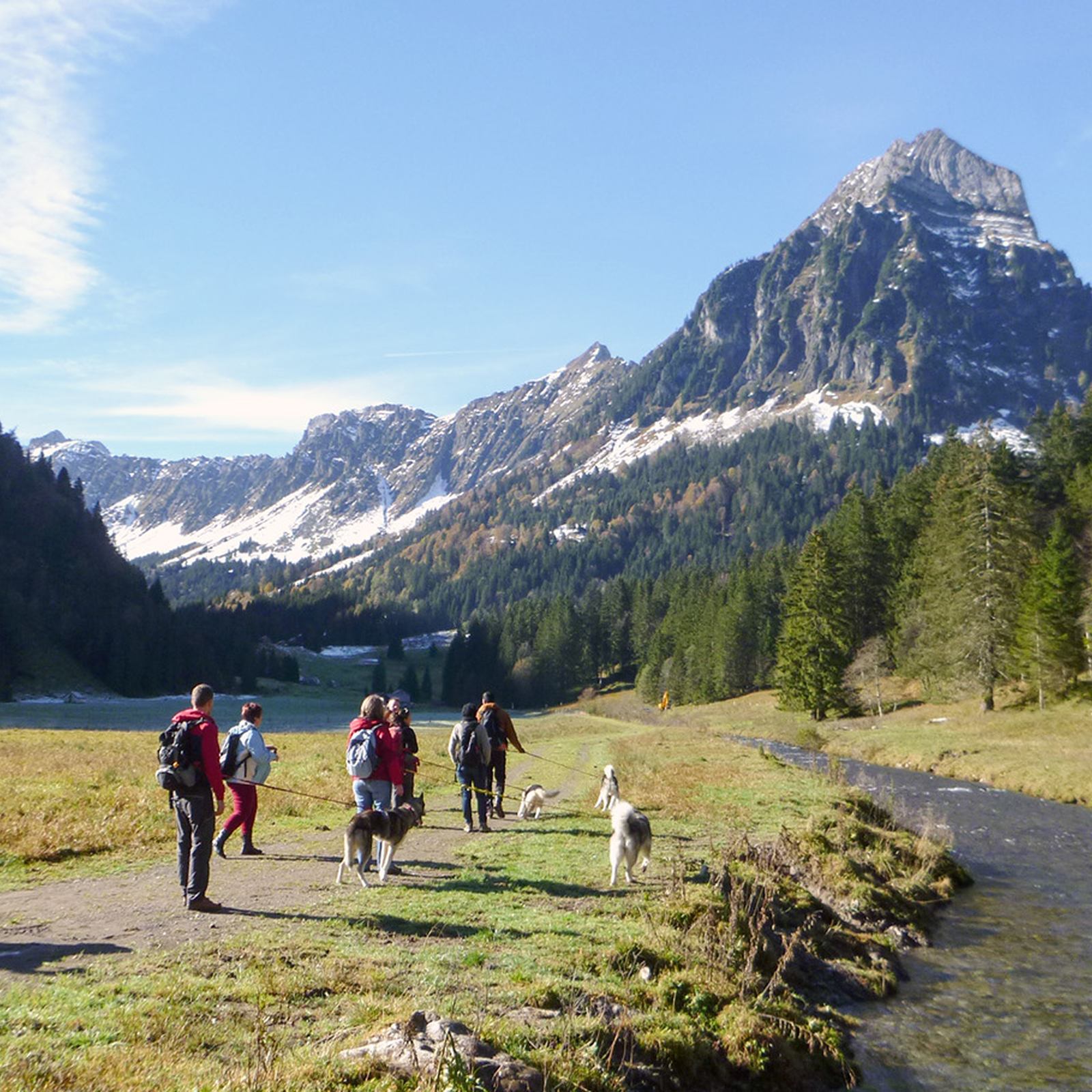 Husky-Trekking am Walensee, mydays Erlebnisgutschein, als PDF ausdruckbar oder Versand mit Geschenkverpackung
