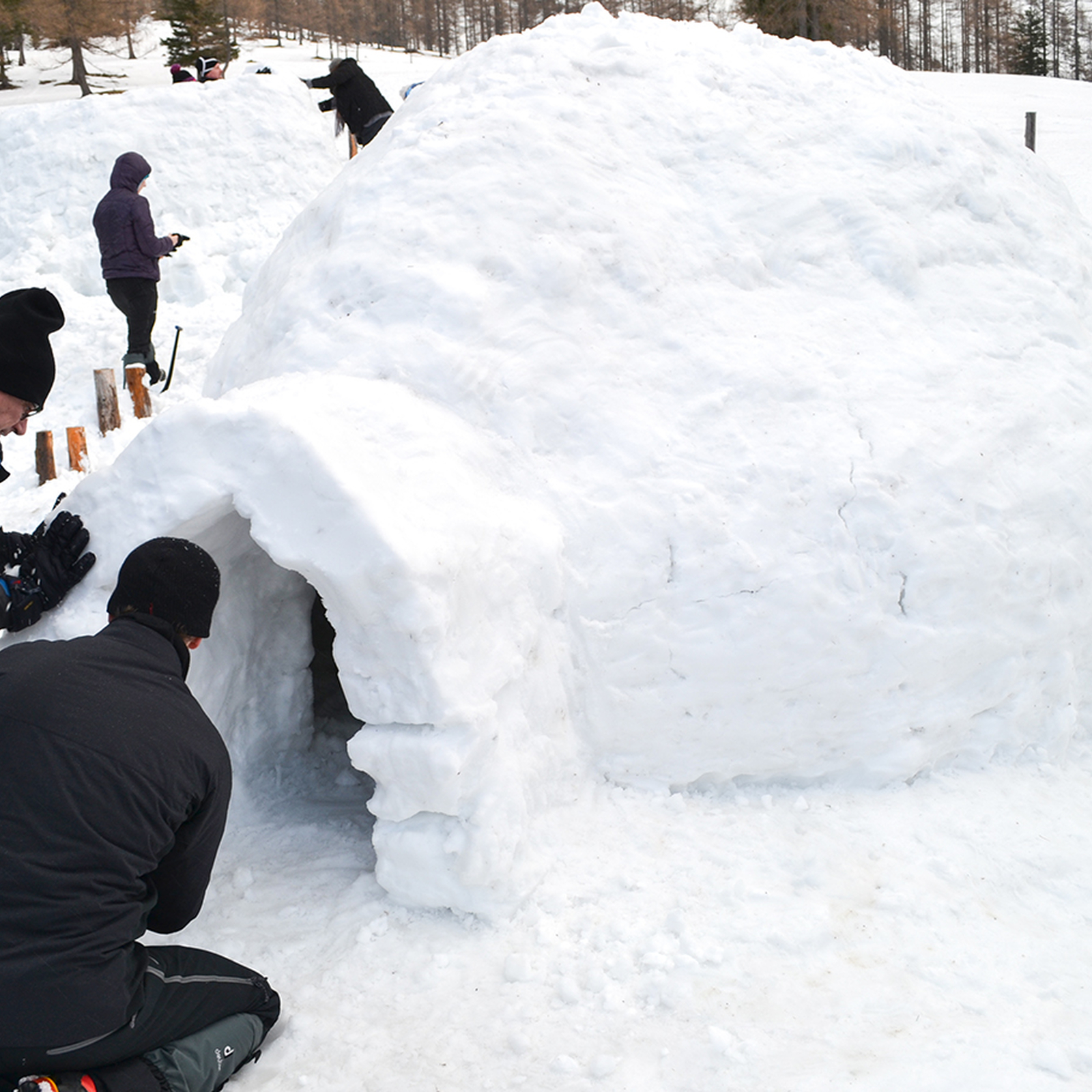 Iglu-Workshop Spital, mydays Erlebnisgutschein, als PDF ausdruckbar oder Versand mit Geschenkverpackung