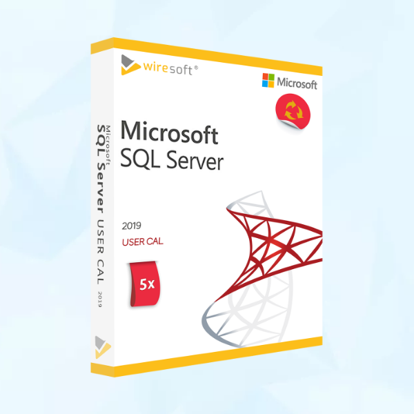 Microsoft SQL Server 2019 - 5 Pack User CALs - Business Partner
