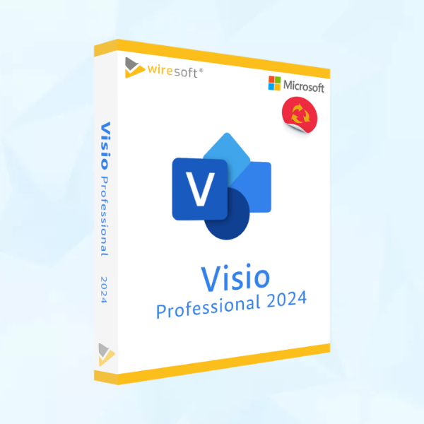 Microsoft Visio 2024 Professional - Business Partner