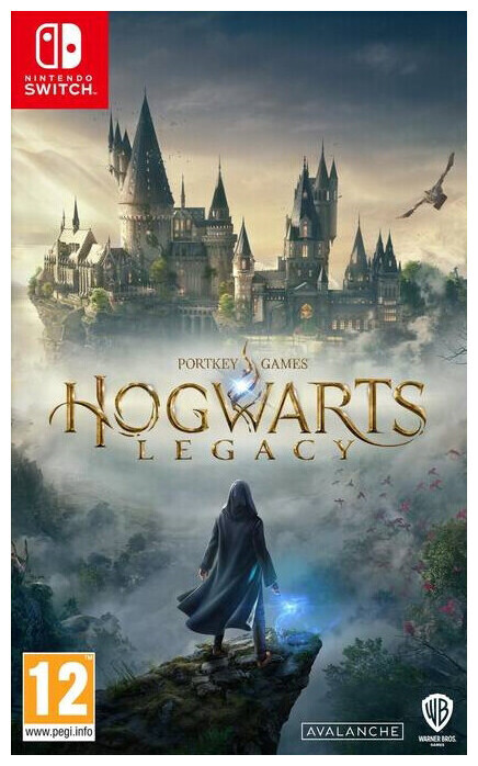 Image of Nintendo Hogwarts Legacy (D/F)