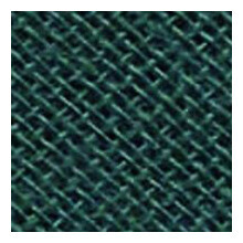 Image of Gütermann Schrägband tannengrün 8064 20 mm Coupon 3 m