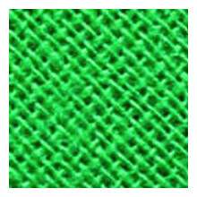 Image of Gütermann Schrägband grasgrün 8745 20 mm Coupon 3 m