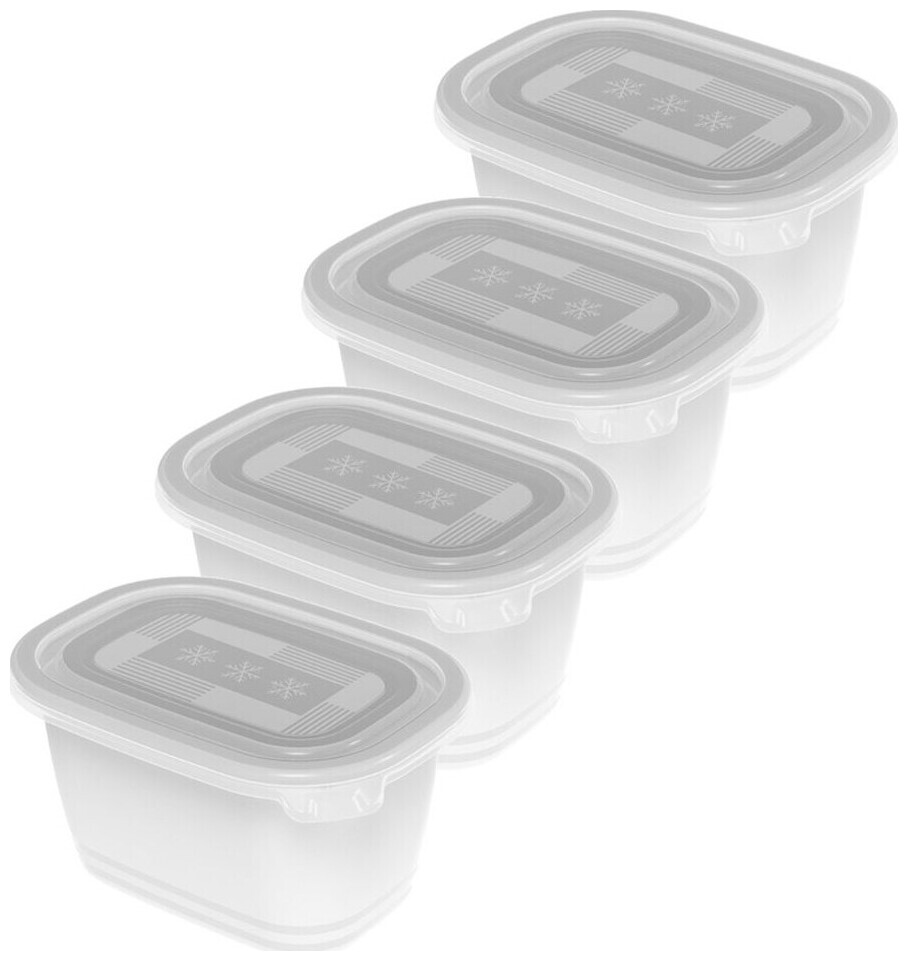 Image of Rotho Freeze Gefrierdosen 4x0.75l