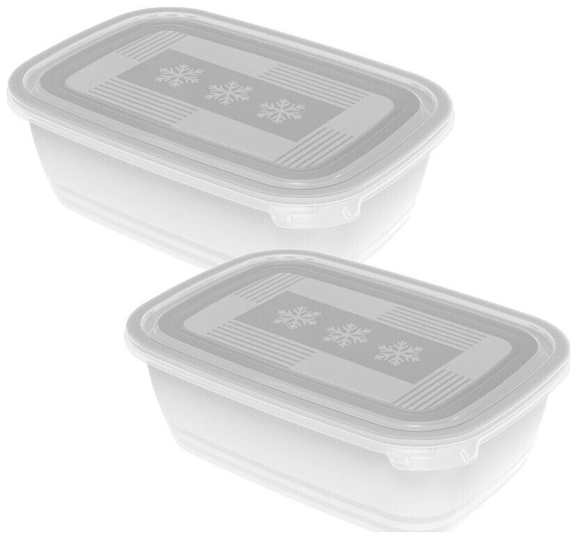 Image of Rotho Freeze Gefrierdosen 2x1.9l