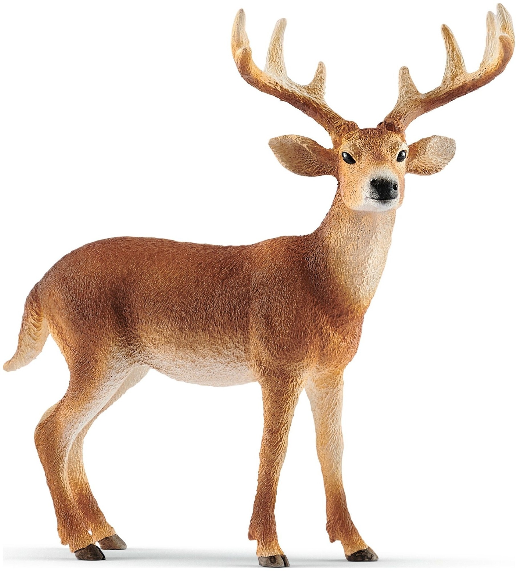 Image of Schleich Wild Life Deer