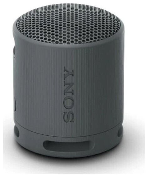 Image of Sony Bluetooth Speaker Xb100