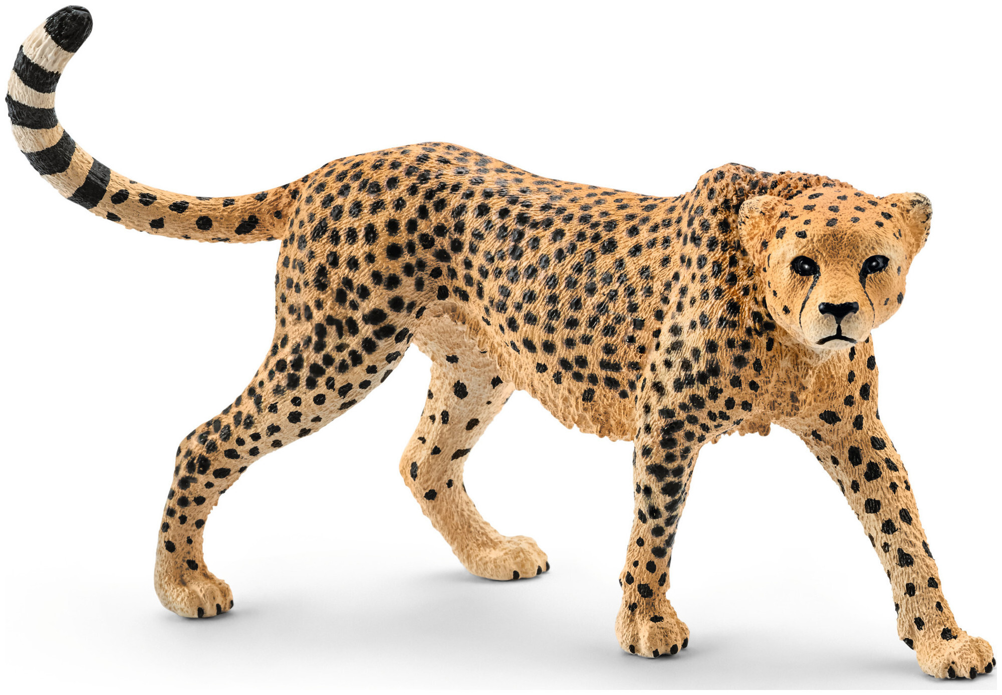 Image of Schleich Wild Life