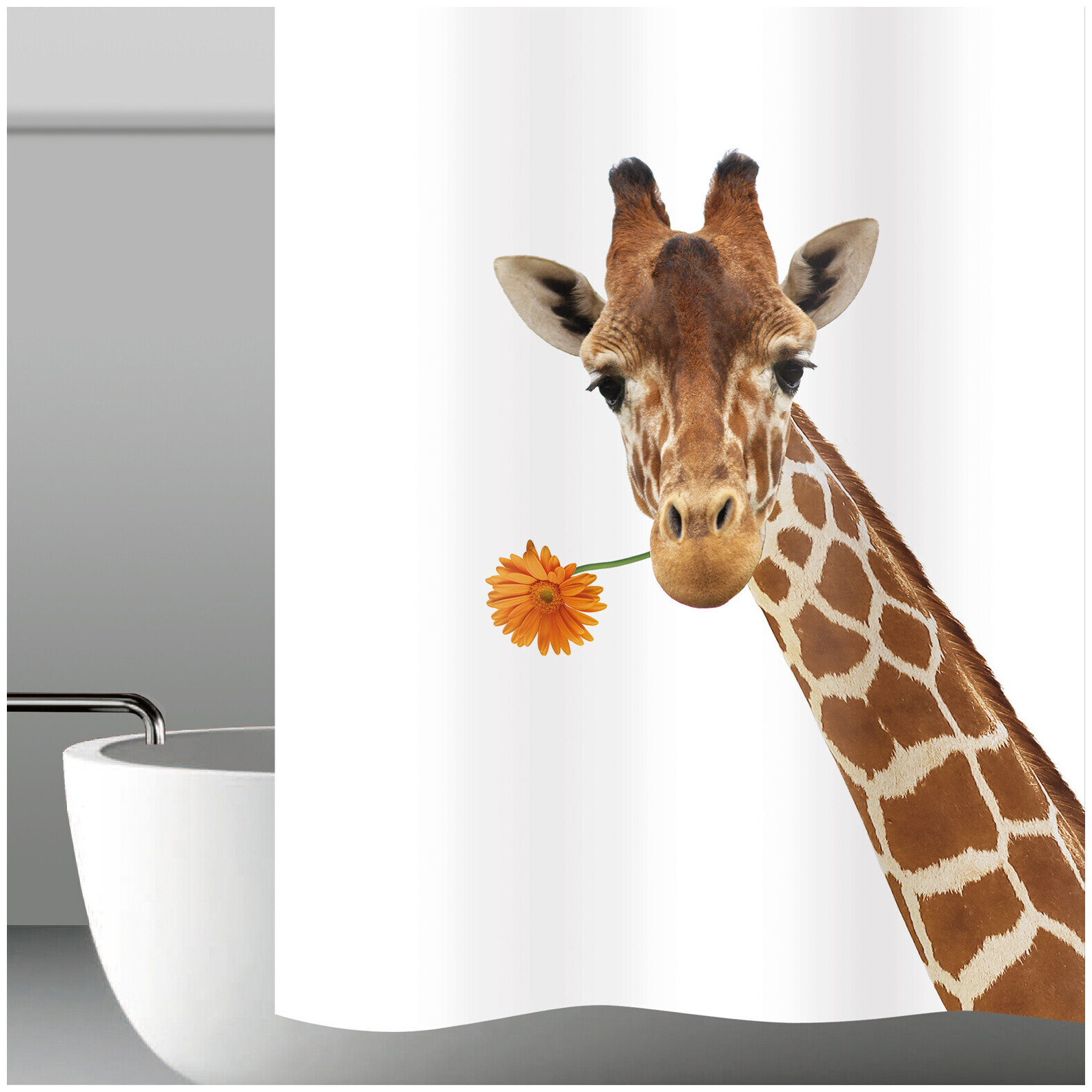 Image of my bath Duschvorhang Giraffe ca. 180x180 cm