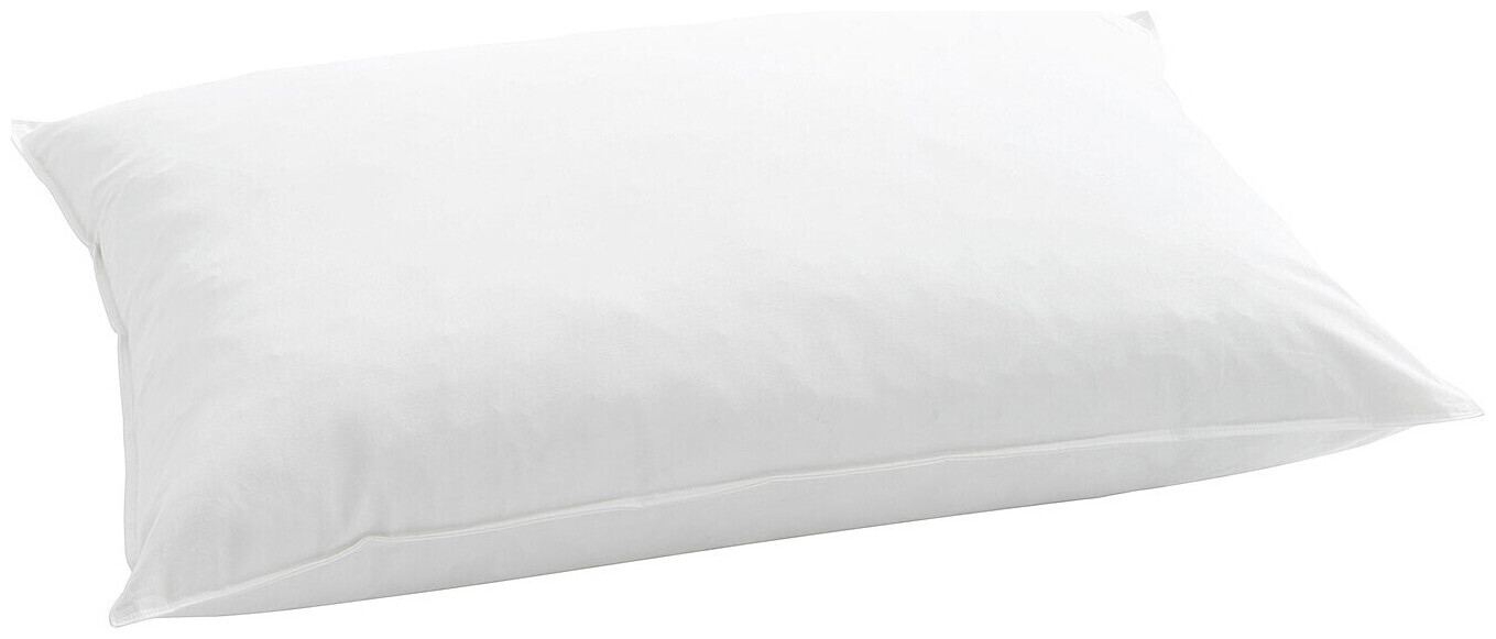 Image of Billerbeck Kissen Standard 350, 50 x 70 cm