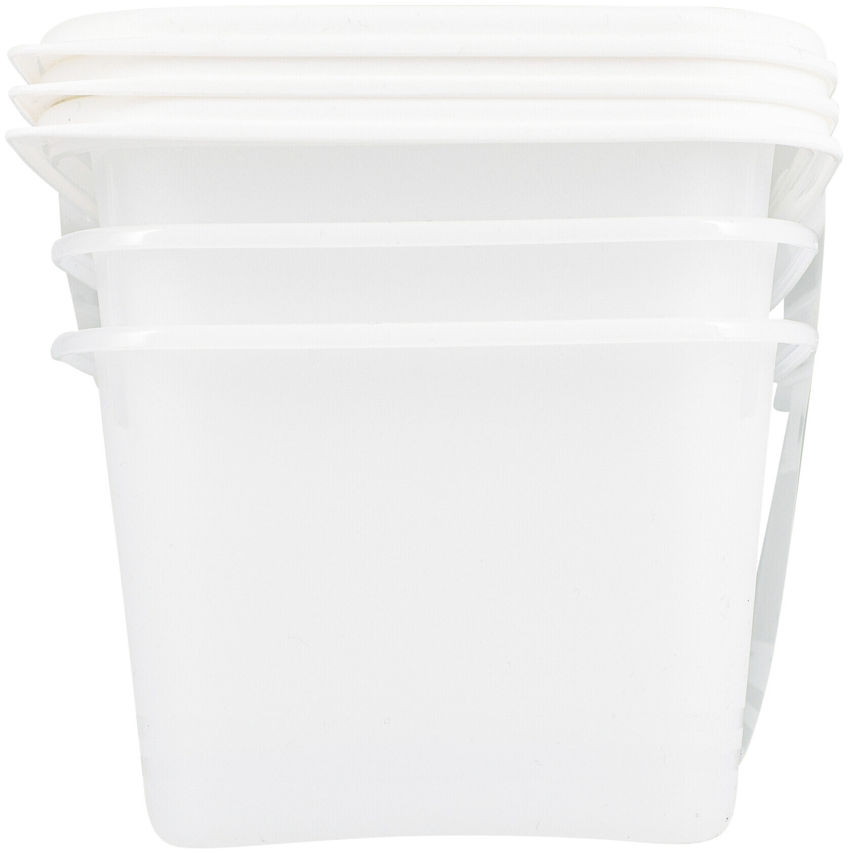 Rotho Tiefkühldose Gemüse 1.2L 3er Set
