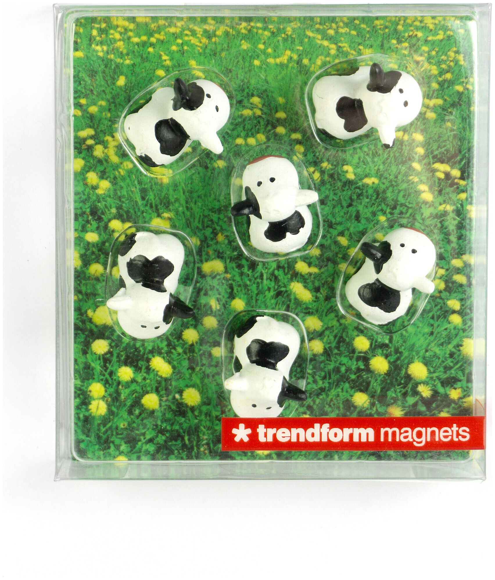 Image of Trendform Magnete Cow 6 Stück