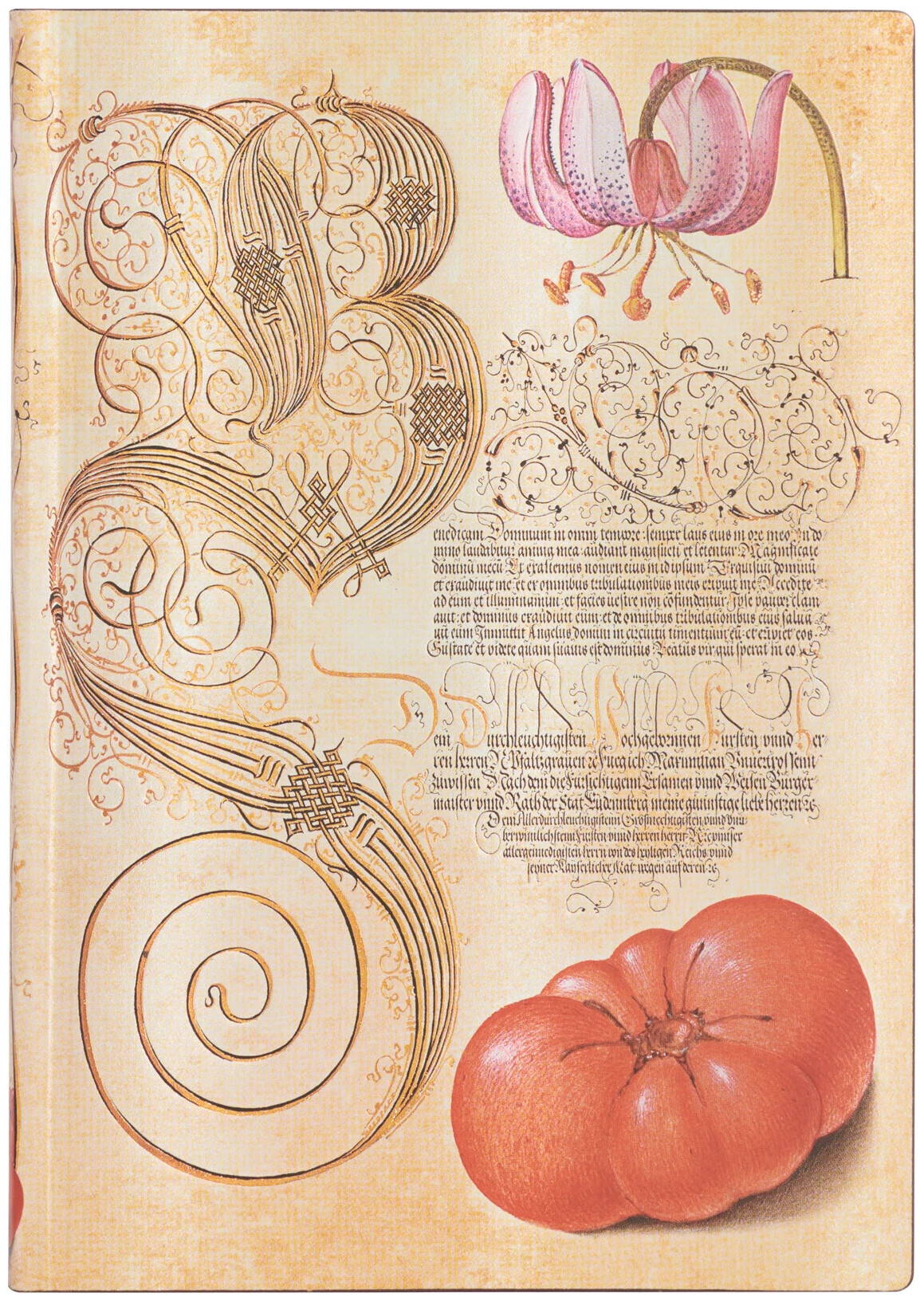 Image of Paperblanks Notizbuch Softcover Lilie & Tomate Midi