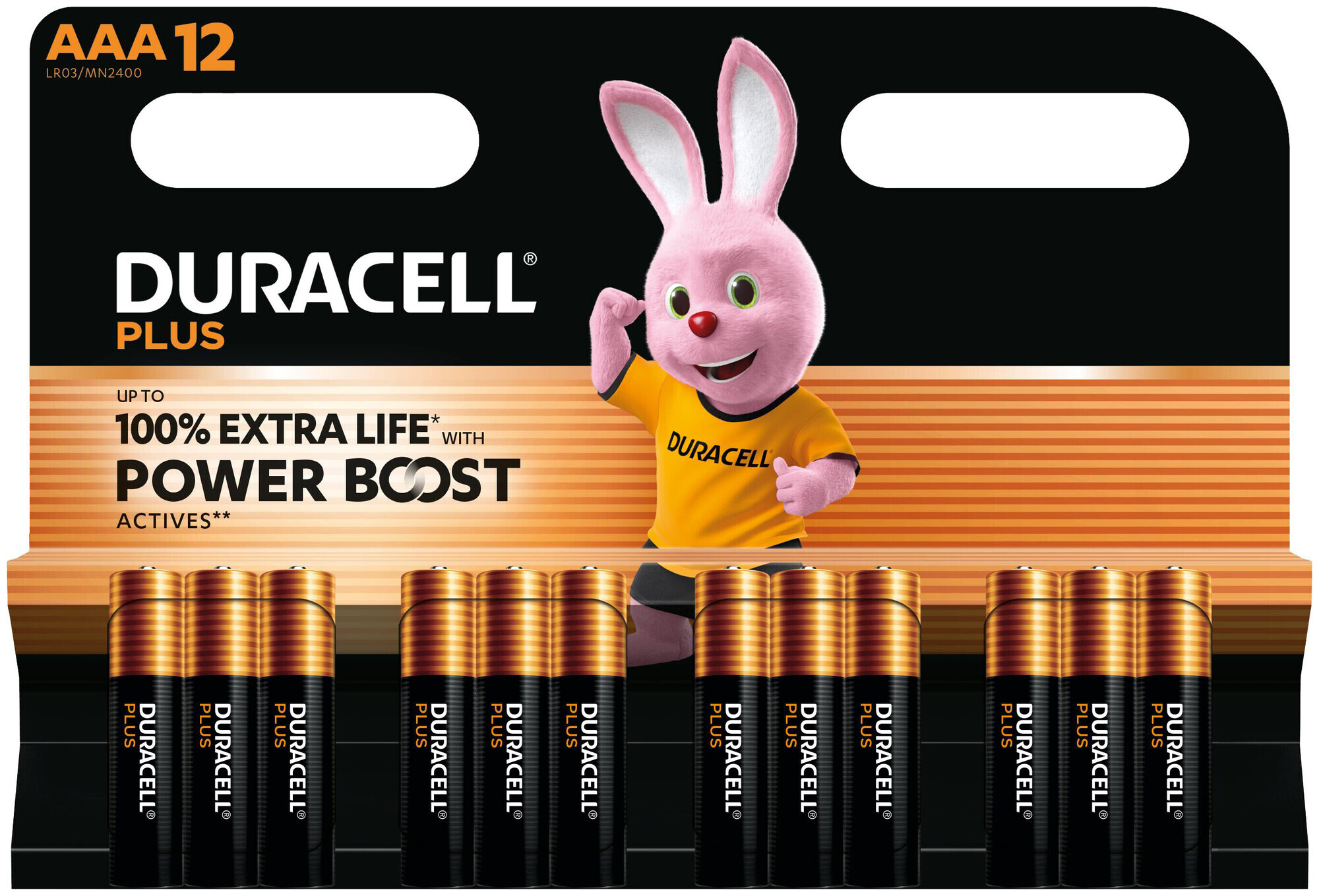 Image of Duracell Batterien Plus Aaa/Lr03 12 Stück