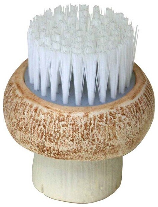 Brosse à champignons en polystone