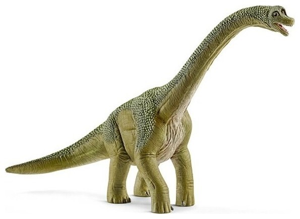 Image of Schleich Dinosaurier Brachiosaurus (1 Stück)