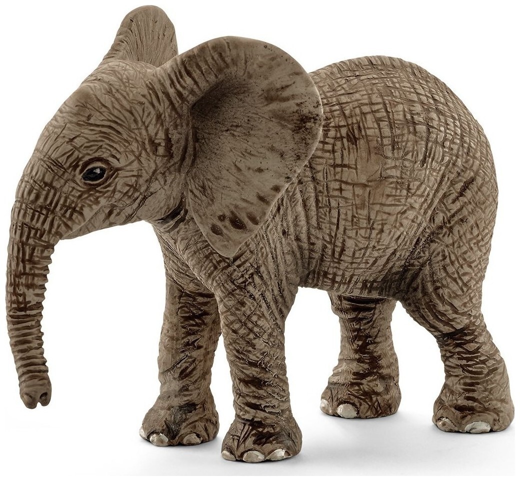Image of Schleich Wild Life Afrikanisches Elefantenbaby (1 Stück, Grau)