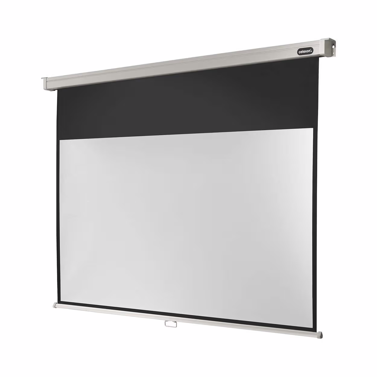 Image of celexon Rollo Professional, Leinwand, 16:9 (220x124cm) Leinwand – Beamer Zubehör