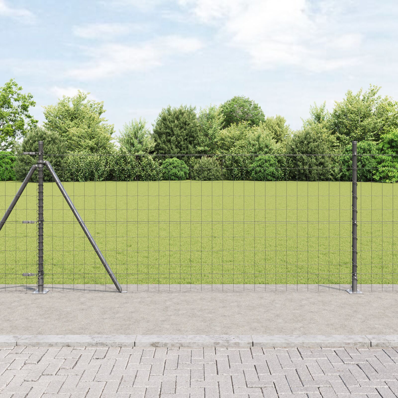 Euro Hegn med 13 Flangede Stænger 0.8x25 m Galvaniseret Stål