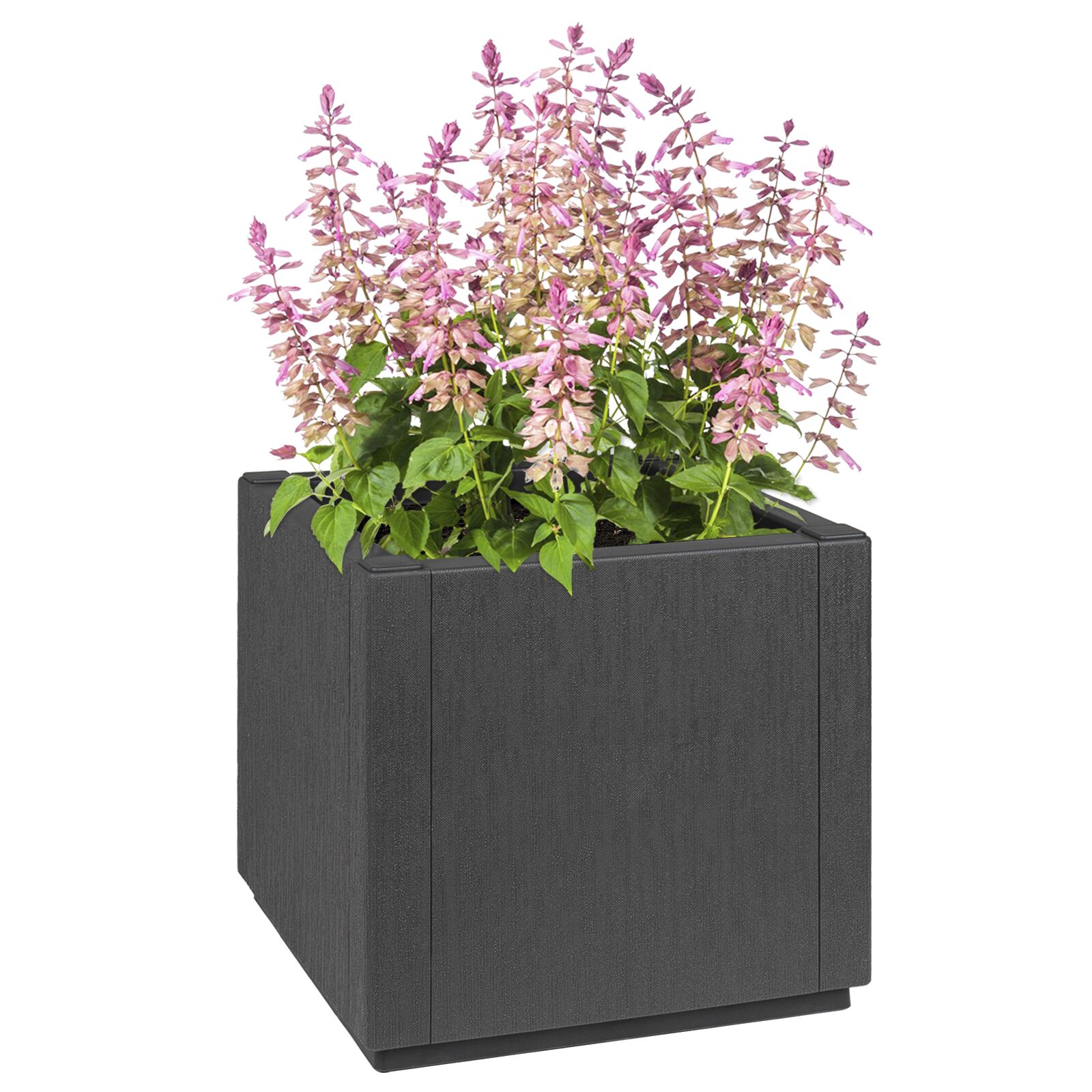 vidaXL Gartenpflanzer Graphit PP (Polypropylen) 36 x 36 x 35 cm