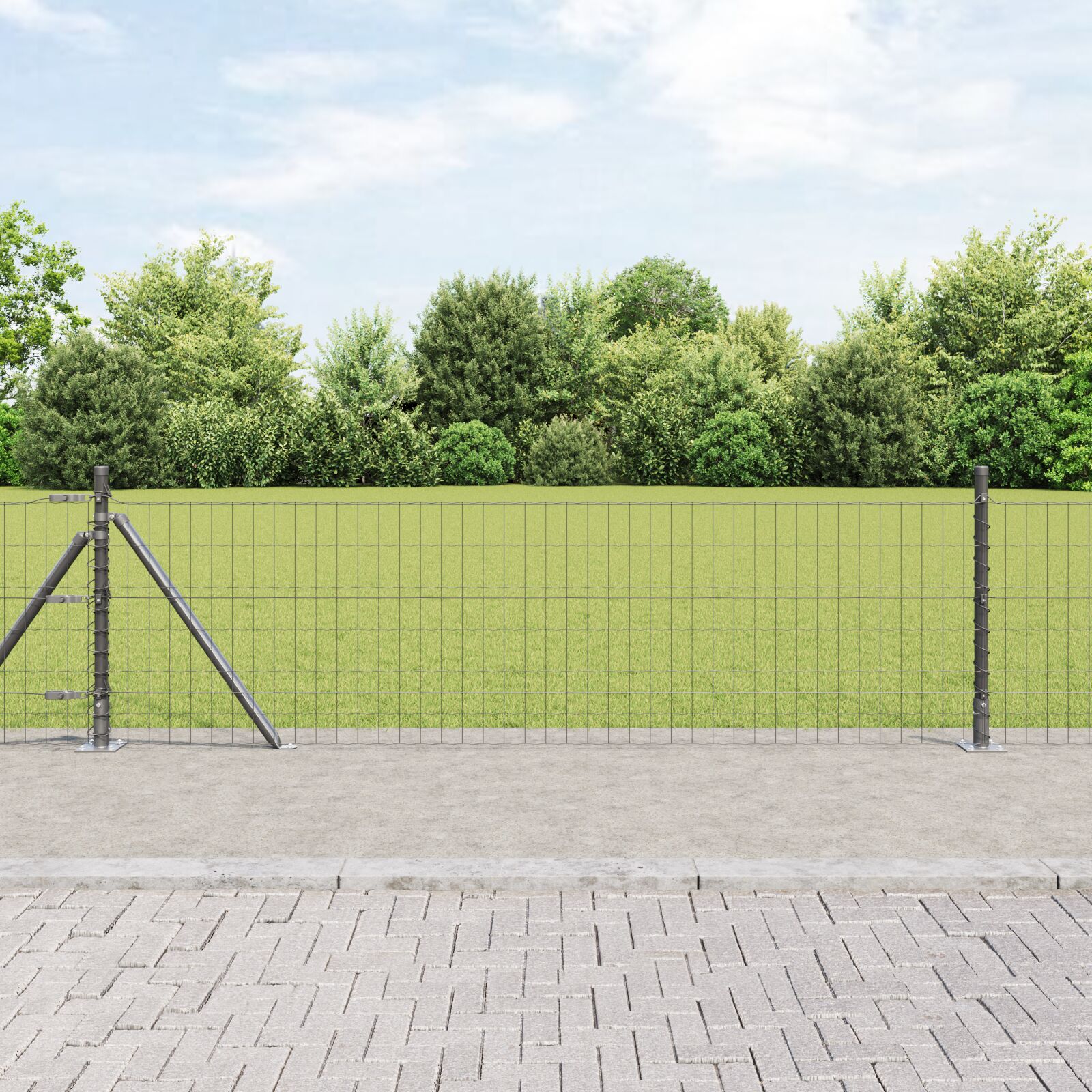 Euro Hegn med 13 Flangeret Stolper 0.6x50 m Galvaniseret Stål