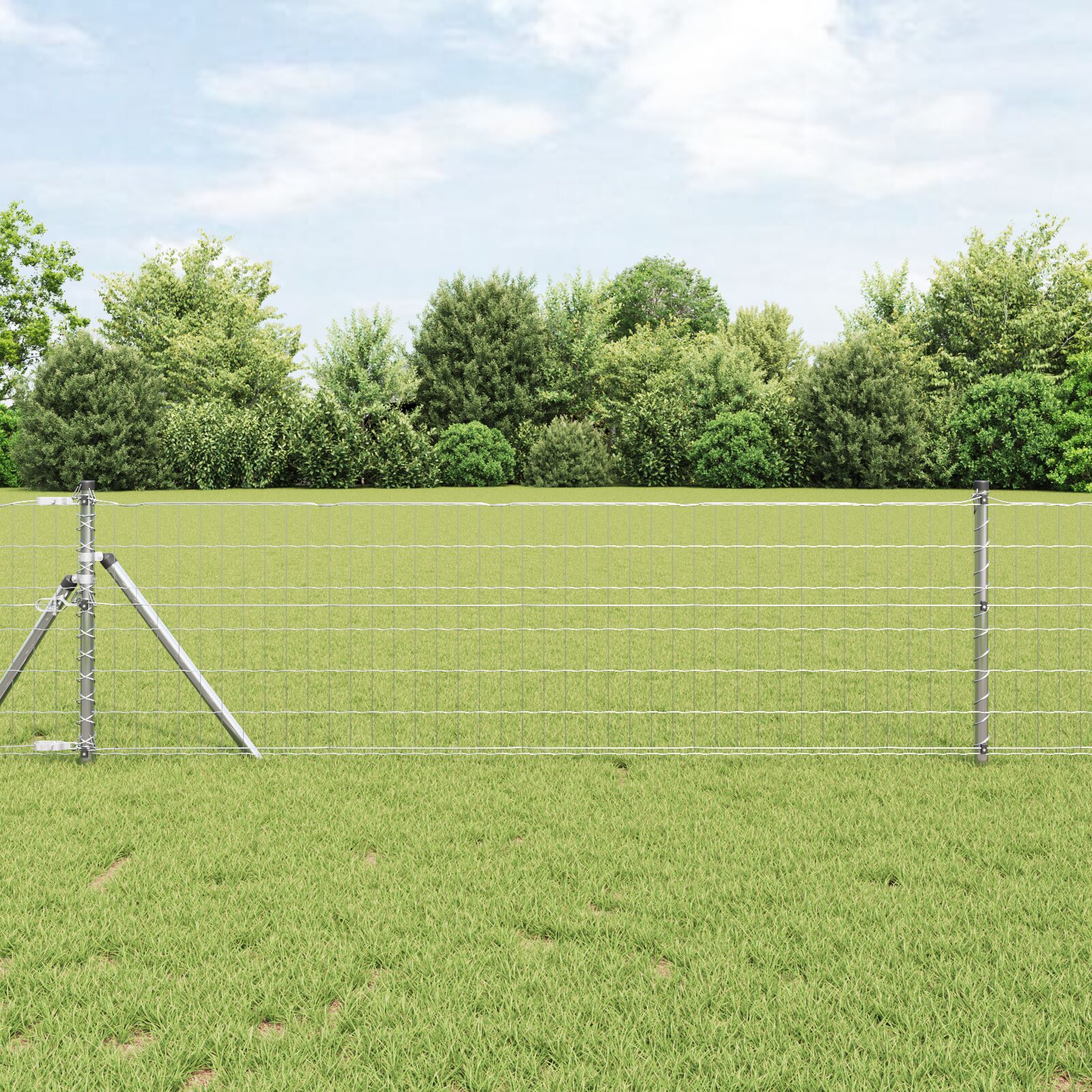 Euro Hegning med 13 Poster 0.6x50 m Galvaniseret Stål
