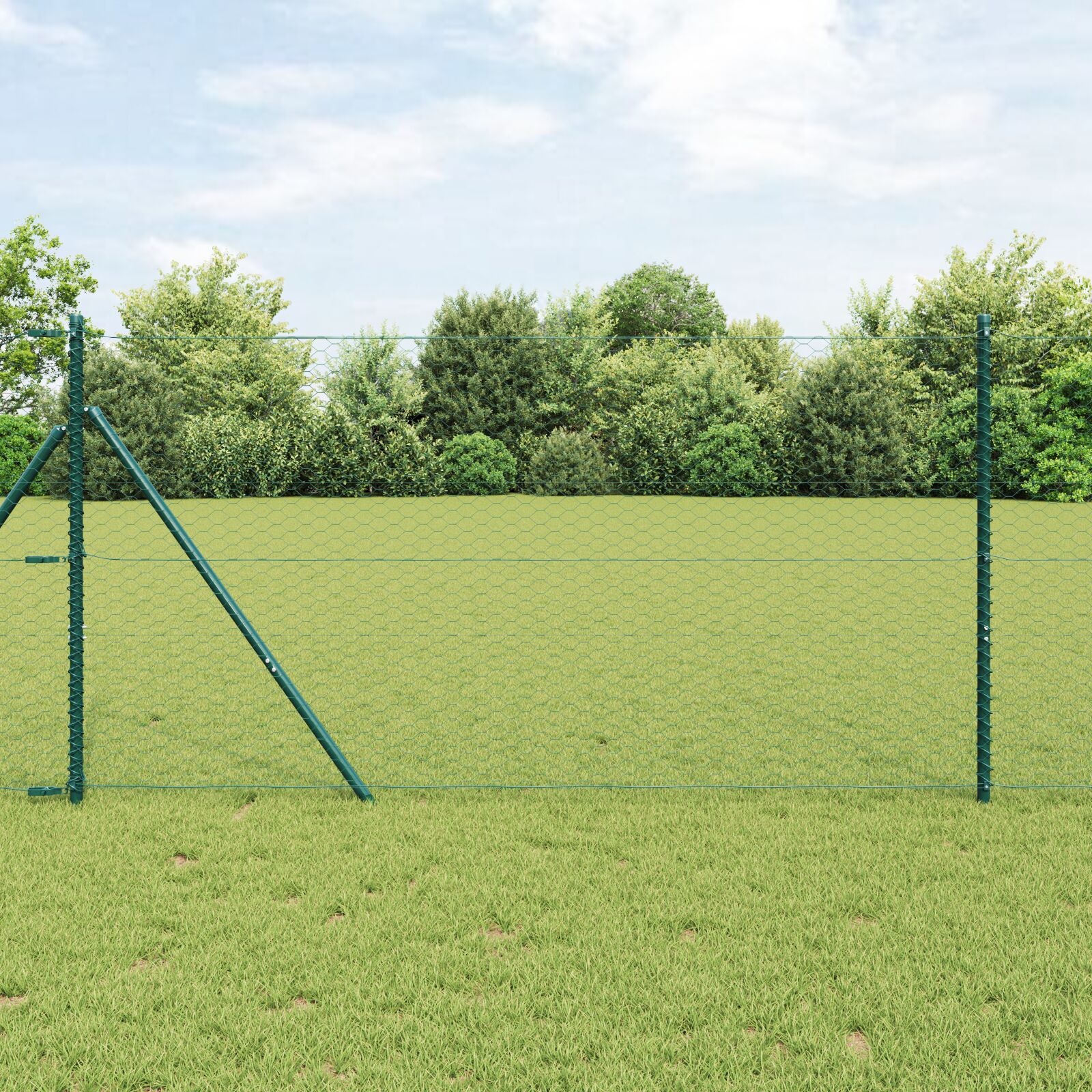 Kuusnurkne Aed Roheline 1.2x50 m Teras