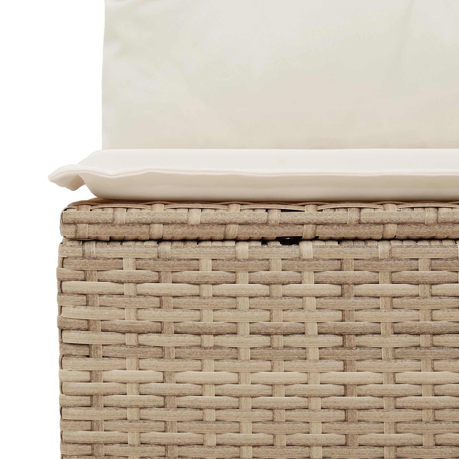 vidaXL 6-delig Tuin Sofa Set met Kussens Beige Poly Rattan, vidaXL 2-Zits Tuin Sofa met Opslag & Kussens Beige Poly Rattan - Afbeelding 9