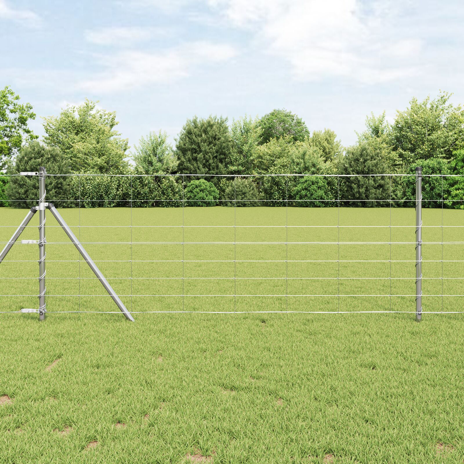 Markhegn 0.8x100 m Galvaniseret Stål